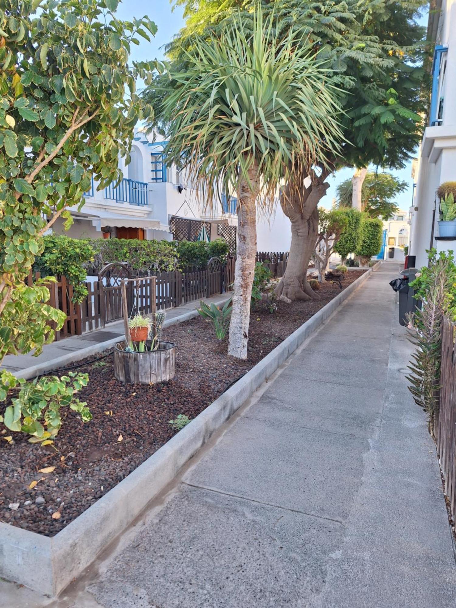 Poolfront Bungalow Playa del Inglés Kültér fotó